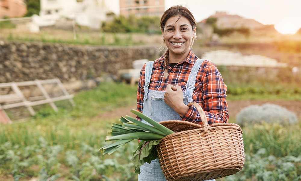 Llegaste al país sin documentos hace más de 20 años, ¿aún es posible arreglar?