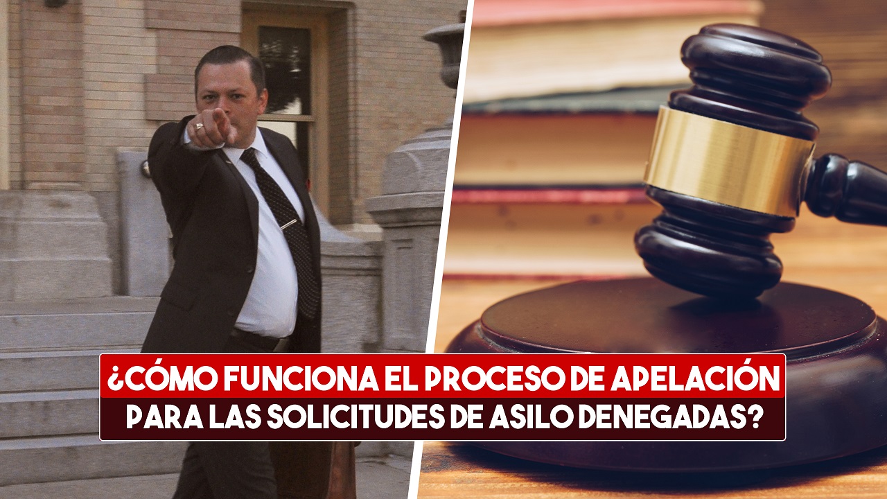 Cómo funciona el proceso de apelación para las solicitudes de asilo denegadas 