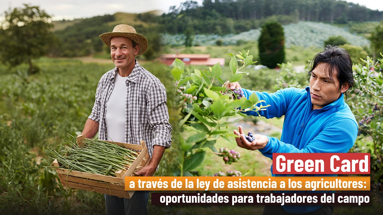 Green Card a través de la ley de asistencia a los agricultores: oportunidades para trabajadores del campo