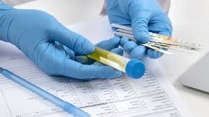 Comunicado de prensa - Noviembre 6 - 2025