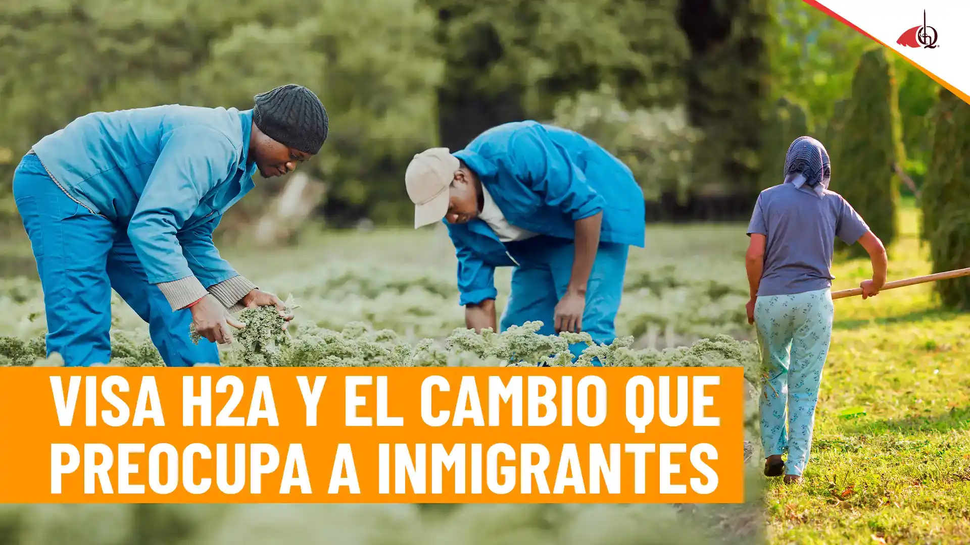 Trabajadores agrícolas migrantes en EE.UU que portan la visa H2A