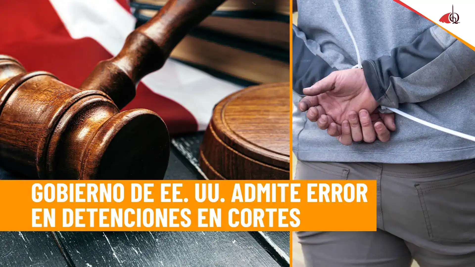 GOBIERNO ADMITE ERROR EN DETENCIONES EN CORTES