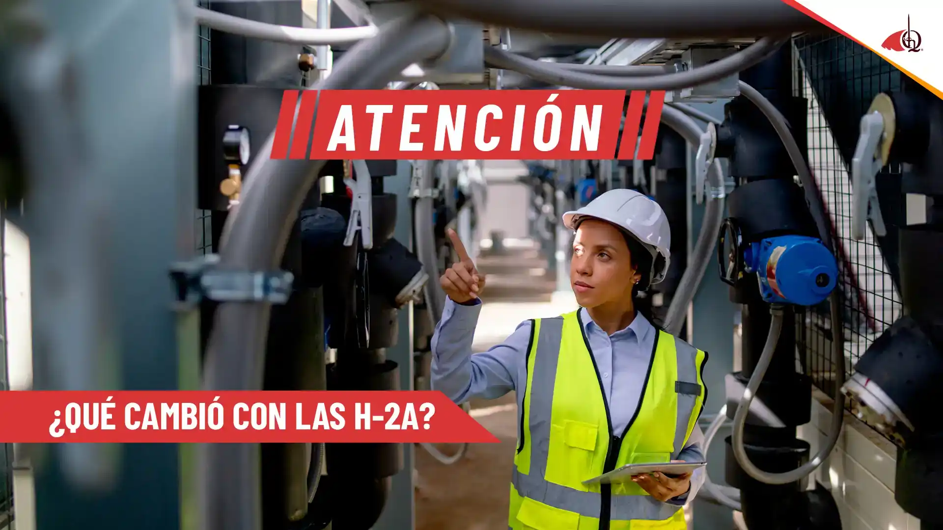 Visas H-2A para la industria lechera: qué significa esta expansión para los inmigrantes dentro y fuera de EE. UU.